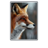 Foxes Fox