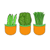 Kitchens Vegetables Vegetarian Cooking Chefs
