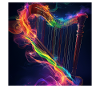 Harp
