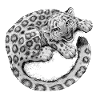Snow Leopard Cub