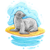 Sea Lion