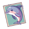 Dolphin Sea Reef