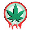 Cannabis