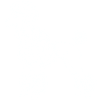 Pudel Lineart
