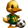 Football Duckling