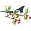 Bunter Vogel
