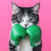 Green Punch: Boxer Cat Deluxe