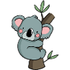 Cute Koala