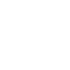 Los Angeles Palm Trees