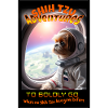 Shih Tzu Adventures - To Boldly Go