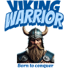 viking warrior