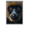 Gibbons Gibbon