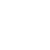 Otter American Flag