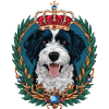 Lagotto Romagnolo with crown