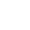 Chihuahua - Dog