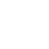 Sim Racing