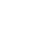 Sim Racing