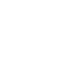 Sim Racing