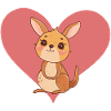 Kangaroo Aussie marsupial
