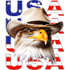 WHITE-HEADED SEA EAGLE USA