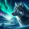 Tete de Loup et aurore boréale