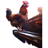 Hahn Piano