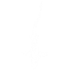 Silhouette de requin blanc