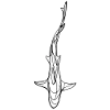 Black Shark Silhouette