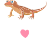 Crestie Mom Crested Gecko Lizard