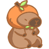 Capibara Orange