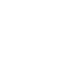Grimmiger niedlicher Fuchs