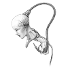 Biomechanical girl is controlled
