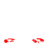 Disc-jockey