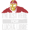Mexican Wrestling Look