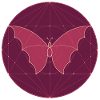 Butterfly Geoemetric Circle