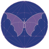 Sacred Geometry Butterfly