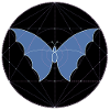 Sacred Geometry Butterfly