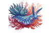 Slug saves the sea snails