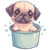 Pug Bath