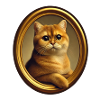 Ritratto di gatto Carlo il gatto