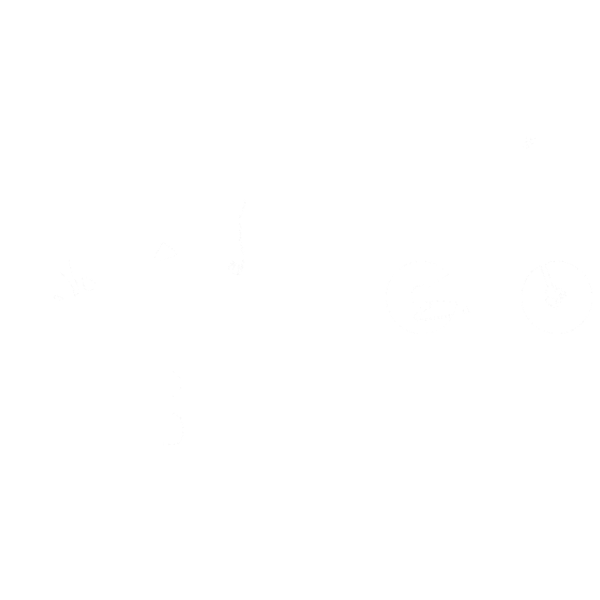 Koszulka "Ewolucja MTB - Od Pierwotnych do Rowerzysty"