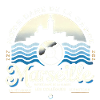 Marseille - Notre-Dame-Mediterranean Culture BB