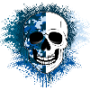 Skull Camouflage, Winter