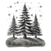 Winter Wunder – Tannen im Schnee