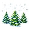 Winterliche Eleganz – Tannen & Sterne