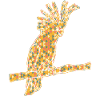 Cockatoo Geometric