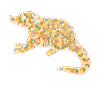 Coati Geometric