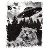 Funny Cats Selfie Ufo