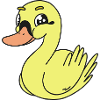 duck ducks children child baby