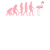 Flamant rose Evolution Flamingo Oiseau